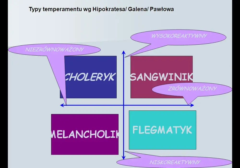 Cechy osobowości - Jak je rozpoznać bez szufladkowania?