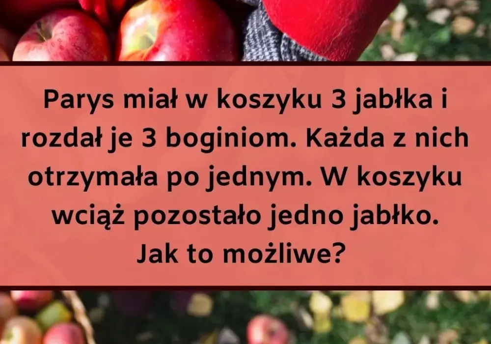 Najlepsze zagadki o jabłku dla dzieci - rozwijające edukacyjne łamigłówki