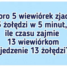 Zagadka o wiewiórce: zabawne łamigłówki, które zachwycą dzieci