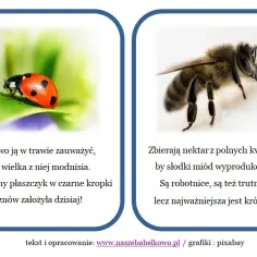 Zagadki o łące: kreatywne sposoby na naukę i zabawę dla dzieci