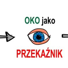Bodźce wzrokowe trafiają do oka, które jest przekaźnikiem, a mózg odbiera je, tworząc percepcję wzrokową.