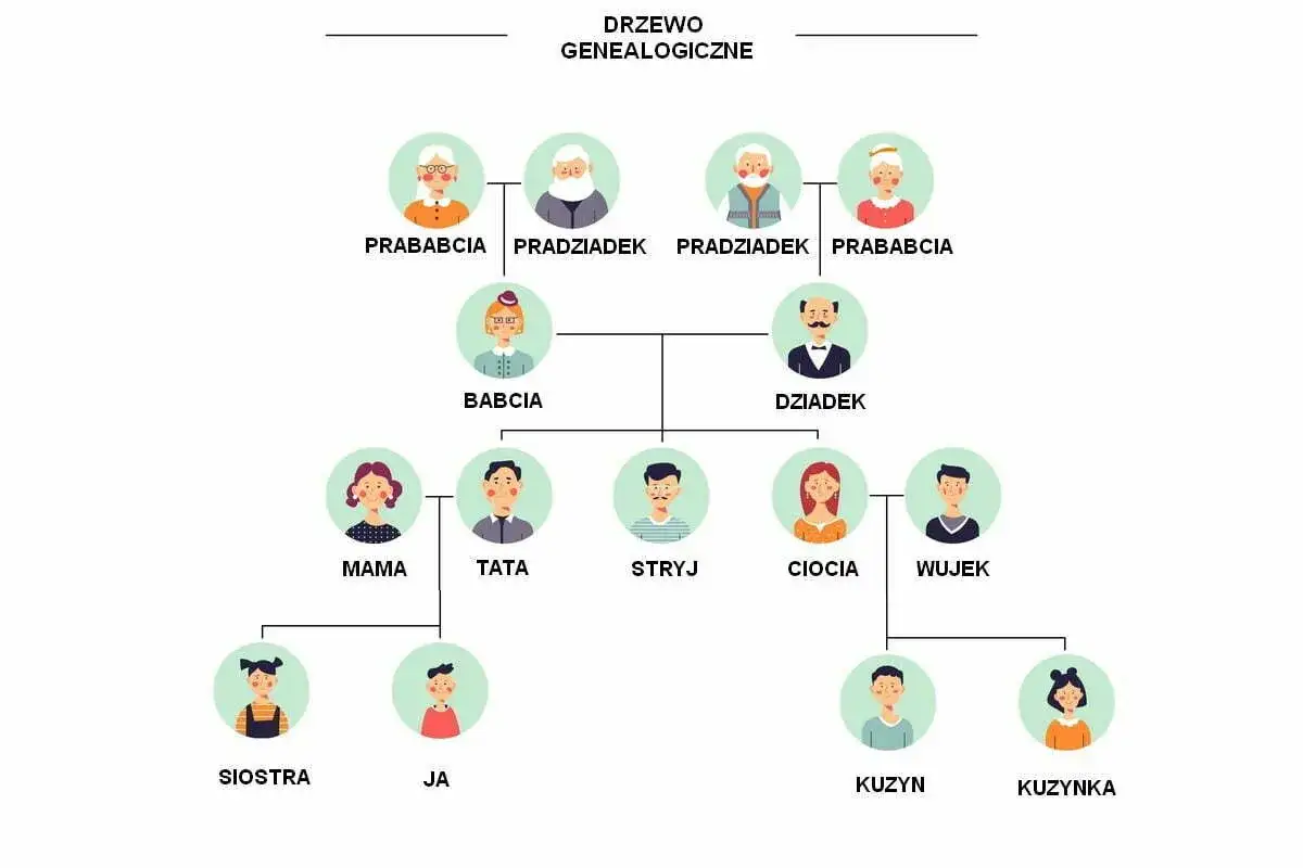 Drzewo genealogiczne pokazuje, że tata jest synem babci i dziadka, a ja jestem synem taty.