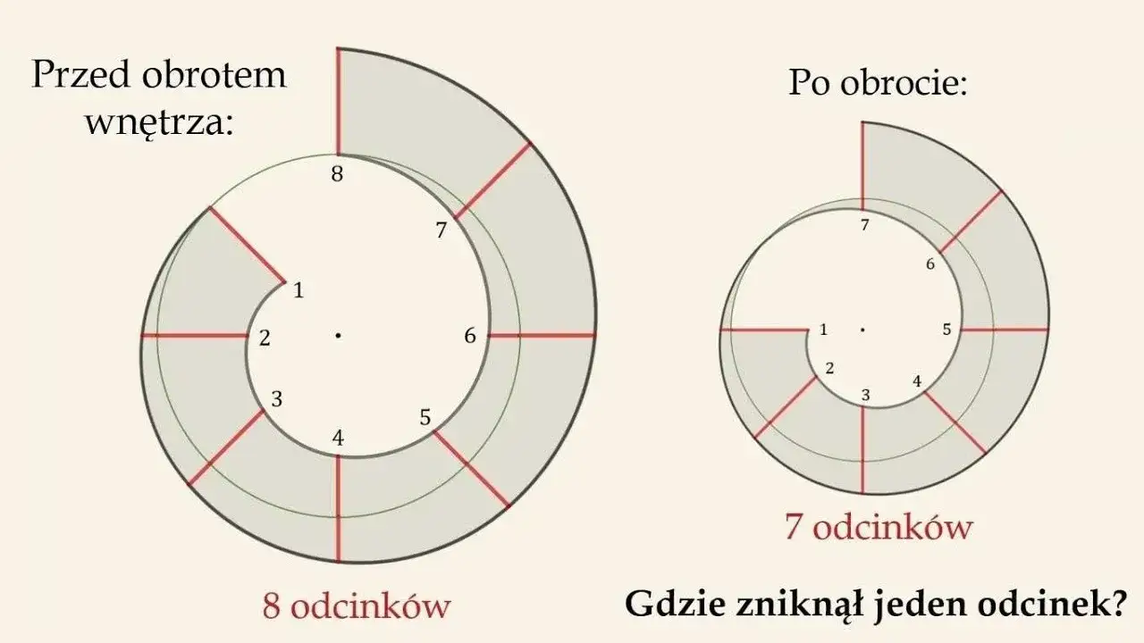 Zdjęcie Zagadka o ślimaku: odkryj tajemnice matematycznych łamigłówek