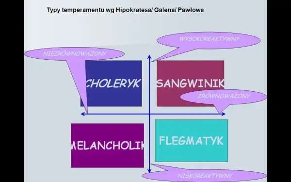 Cechy osobowości - Jak je rozpoznać bez szufladkowania?