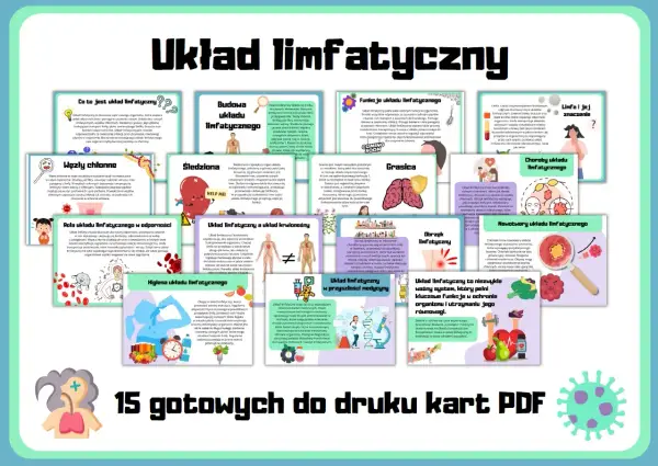 Układ limfatyczny - Co to jest i kiedy wymaga uwagi?